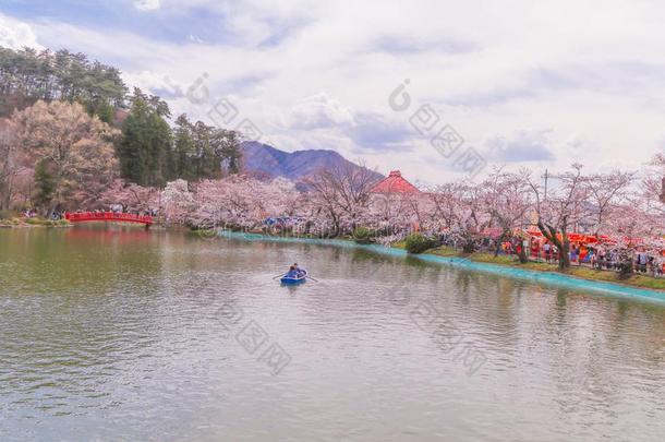 美丽的樱桃花樱花节日,长野地方官的任期,涂漆