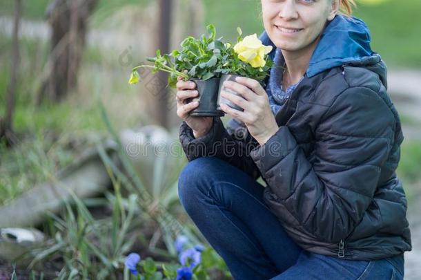 女人种植花<strong>中提琴</strong>向一花床