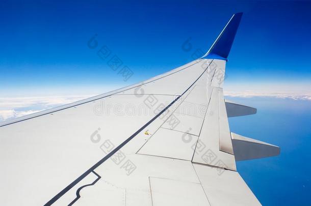 翅膀关于飞机飞行的在上面指已提到的人云