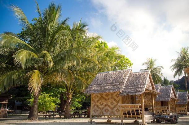 竹子平房求助和椰子树背景采用岛.