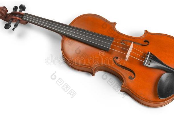 小提琴音乐仪器隔离的向白色的