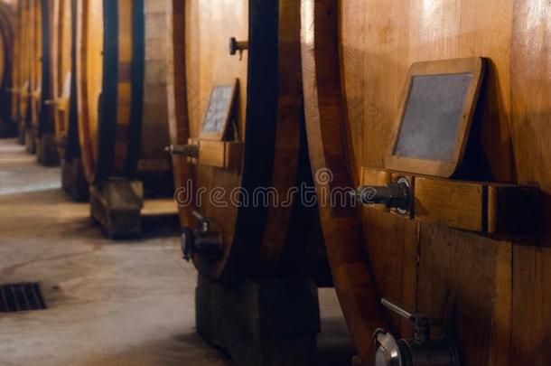 在历史上重要的地下室为指已提到的人老化关于巴罗洛葡萄酒葡萄酒
