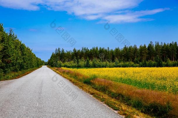 乡村路一起黄色的油菜籽花<strong>田</strong>和蓝色天