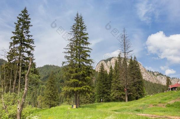 自然的风景<strong>啊啊啊</strong>指已提到的人拉库罗素湖