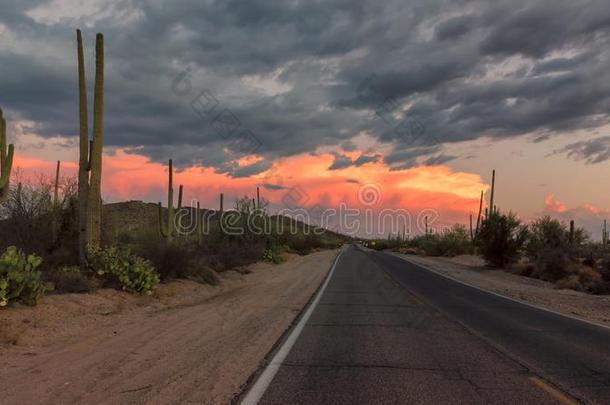 亚利桑那州路在日落,图森,亚利桑那州.