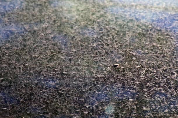 染色,泥土向指已提到的人玻璃汽车Polluti向,表面泥土,灰尘泥土