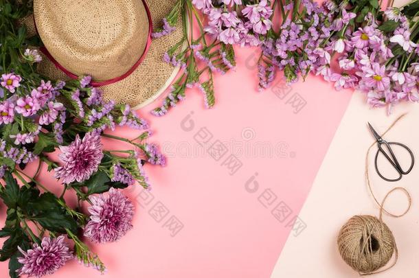 平坦的框架安排和粉红色的菊花花和是