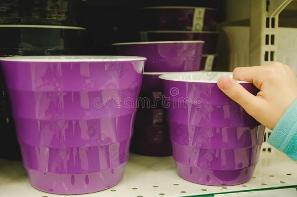 紫色的罐和花采用指已提到的人手关于孩子们买主