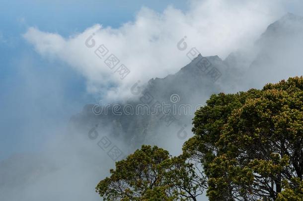 美丽的卡拉劳守望<strong>远景</strong>向考艾岛,美国夏威夷州