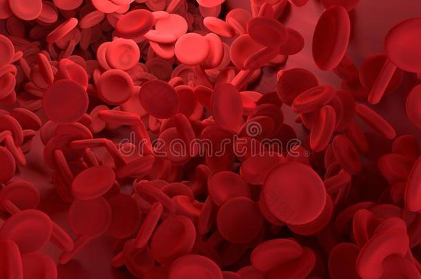 红色的血细胞采用血容器关于身体.科学图解的为Educationalinstitutions教研机构