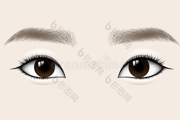 美丽的亚洲人女人眼睛和额.矢量说明.
