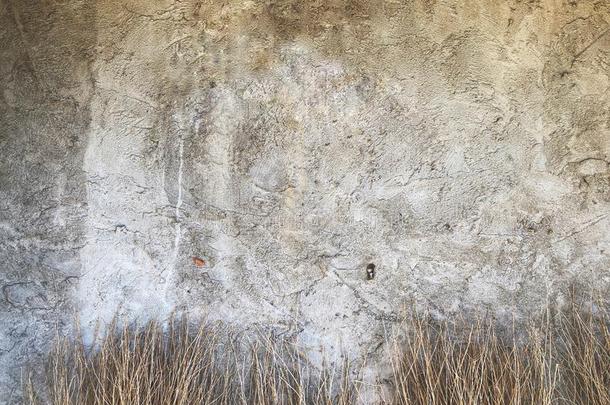 水泥壁纸和干燥的树枝.抽象的艺术水泥