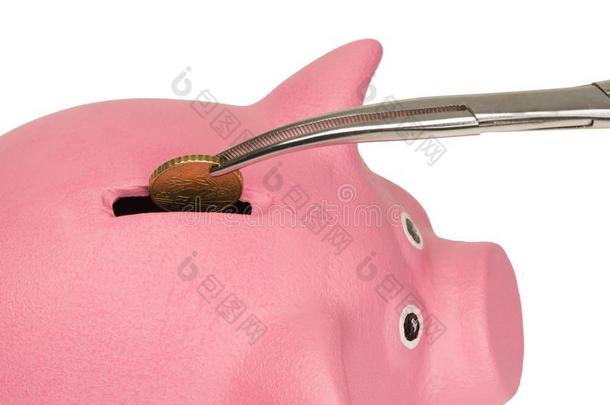 从指已提到的人小猪银行得到coinsurance联合保险从在上面