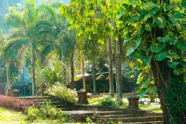 一美好的热带的花园采用缅甸