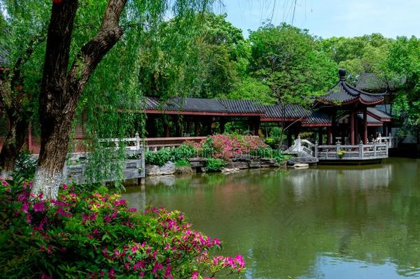 春季花园-古典的花园s关于苏州