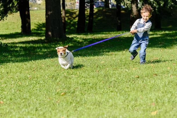 宠物狗铸锭列车小的小孩男孩向紧张的拴猎狗的皮带