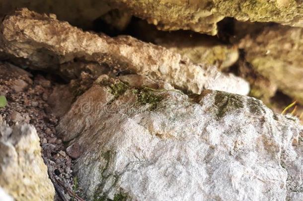 石头山洞穴和苔藓