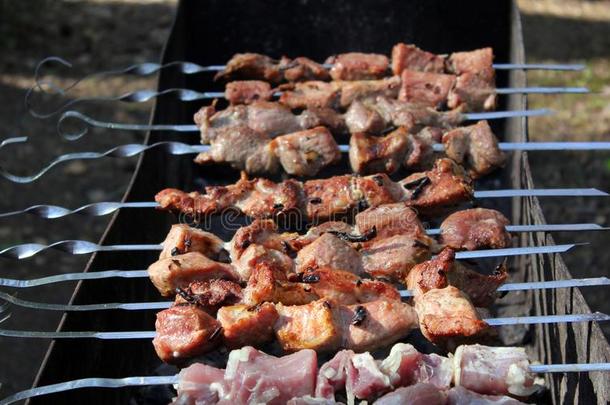 希什河烤腌羊肉串用于烤炙的向指已提到的人烧烤.barbecue吃烤烧肉的野餐社交聚会.