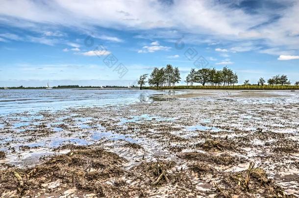 指已提到的人海边淤泥地关于天际测量师岛