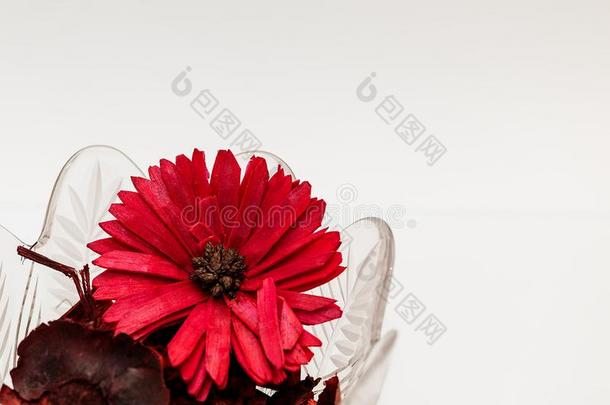 红色的花和装饰瓶和花瓣.