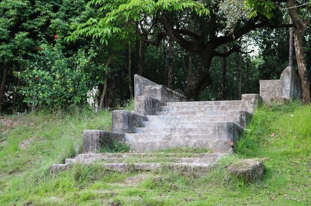 老的池塘楼梯关于孟加拉国人池塘
