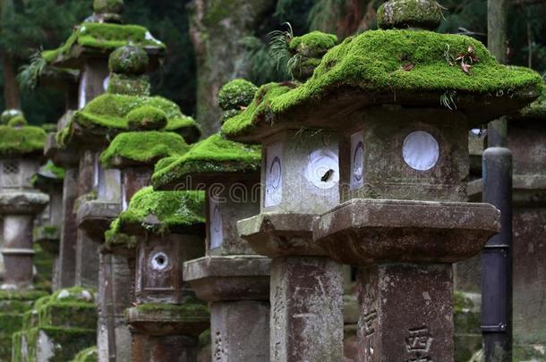 石头灯笼和苔藓在Kasug在aisha圣地