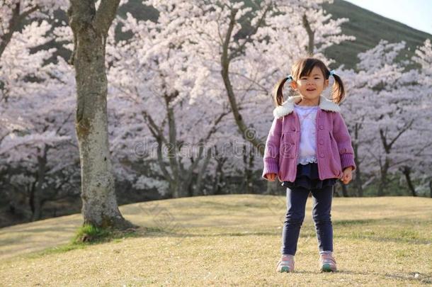 日本人女孩和樱桃花