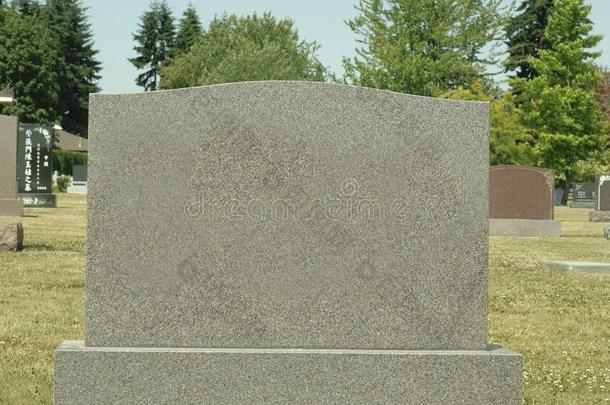 大大地空白的墓碑采用一墓地向一和煦的：照到阳光的d一y
