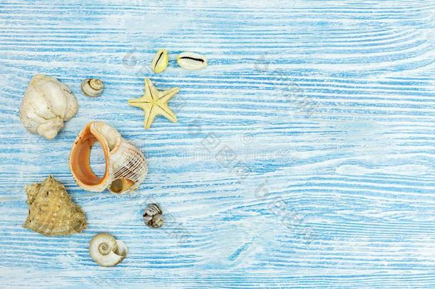 海壳和海星向蓝色木制的背景