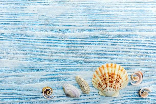 夏假期背景和贝壳向蓝色木制的板
