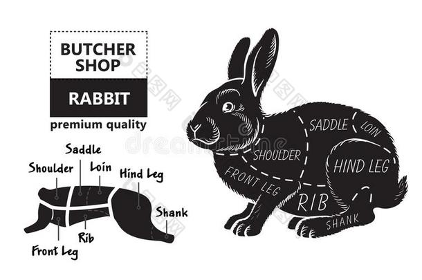 将切开关于兔子.海报屠夫图表为食品杂货店,肉商店
