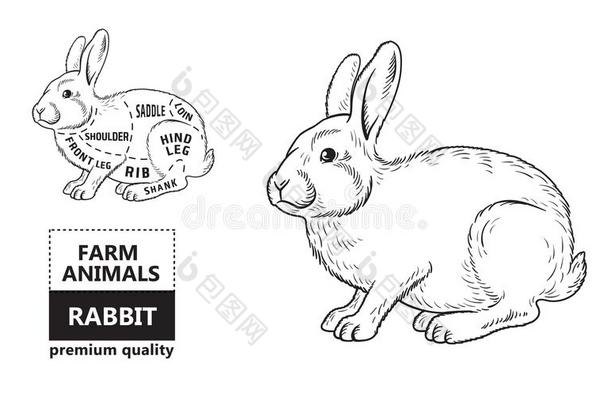 将切开关于兔子.海报屠夫图表为食品杂货店,肉商店