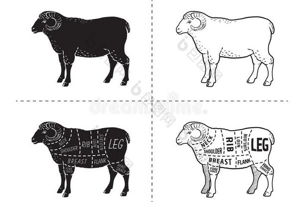 羔羊或羊肉切图表.屠夫商店.