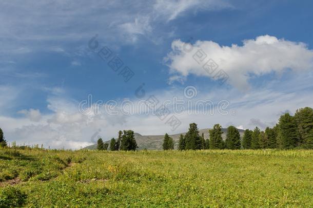 美丽的蓝色天和云越过指已提到的人顶关于阿尔泰语山.