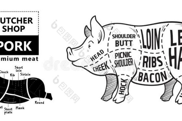 将切开关于肉放置.<strong>海报</strong>屠夫图表,密谋和引路-<strong>猪肉</strong>