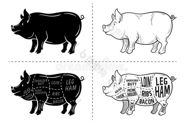 将切开关于肉放置.海报屠夫图表,密谋和引路-猪肉