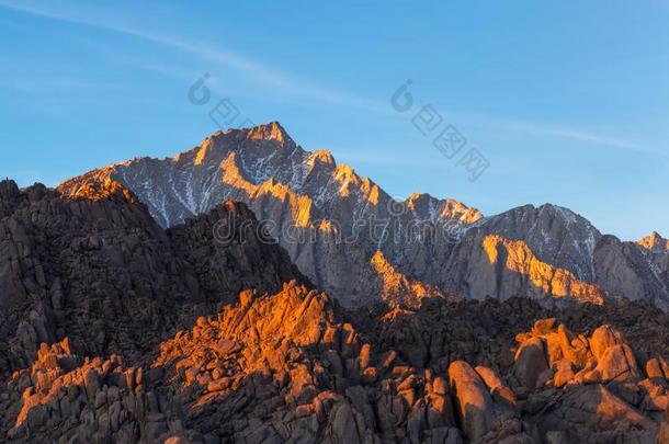 孤单的松树山峰看法向日出在亚拉巴马小山