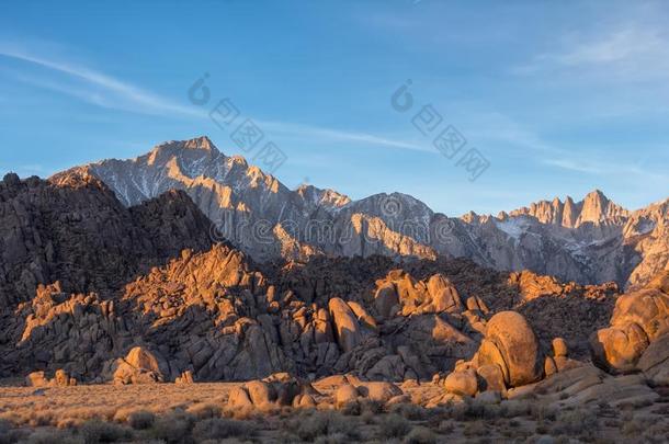 孤单的松树山峰看法向日出在亚拉巴马小山