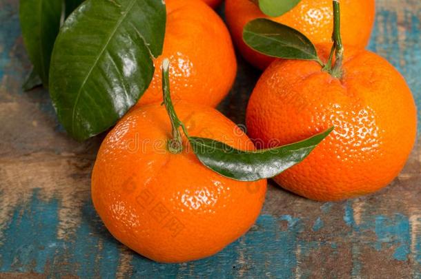 成熟的富有色彩的热带的柑橘属果树成果,曼达林或克莱门氏小柑橘英语字母表的第3个字母