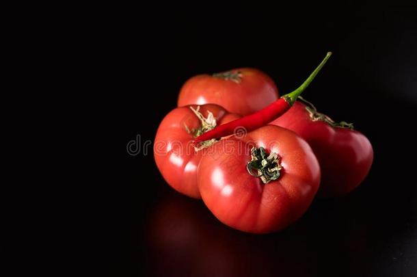 新鲜的美丽的红色的番茄和红辣椒胡椒向黑的后座