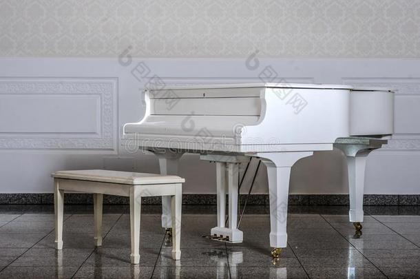 白色的房间和白色的木制的宏大的钢琴和椅子