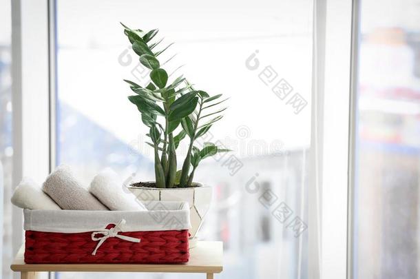 篮和毛巾和室内植物向表