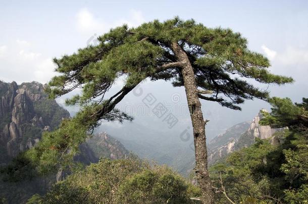 登上三清,三清shan,江西中国