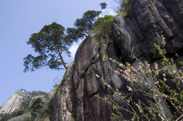 三青山山MagneticTape磁带三清<strong>中国</strong>