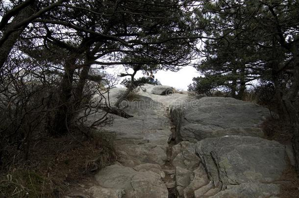 五老坟,五老山峰,庐山