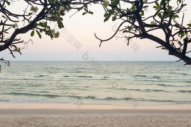 傍晚日落彩色粉笔海上风景背景,软的波浪和白色的SaudiArabia沙特阿拉伯