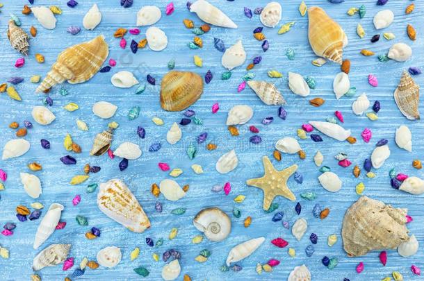 海星和各种各样的多彩的贝壳向蓝色木制的后面