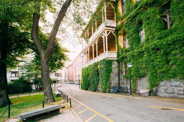 芬兰首都赫尔辛基,芬兰.墙关于房屋和大量的绿色的常春藤