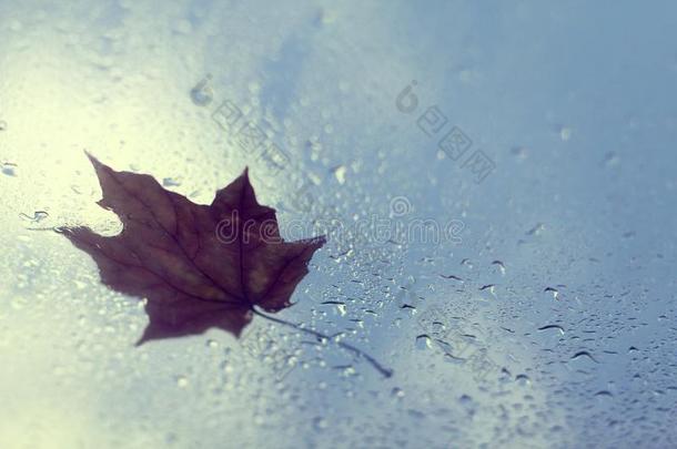 湿的秋天气