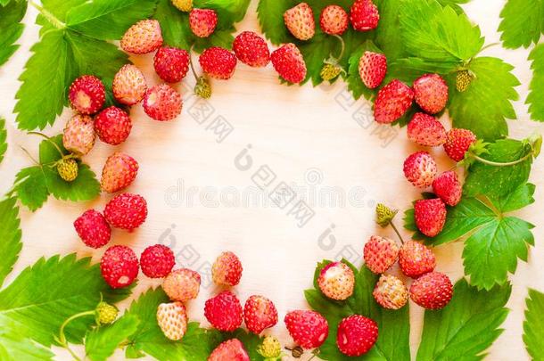 一分散的农作物关于野生的草莓.红色的成熟的浆果向一光